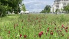 zzw-2017-2020-warszawa (2)
